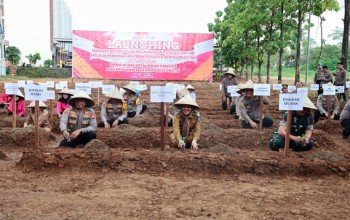 Wagub Fatmawati Rusdi Apresiasi Program Pangan Lestari Polda Sulsel, Sinergi Sukseskan Asta Cita Presiden Prabowo
